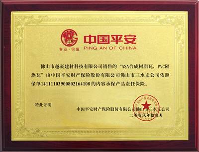 中國平安保險公司承保